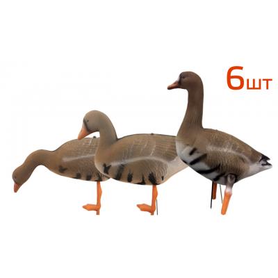 Комплект Белолобый (флоковый) из 6 штук