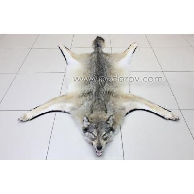 Шкура волка 130 см